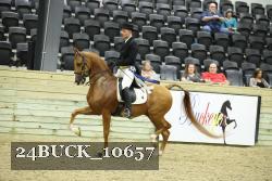 24BUCK_10657 proof