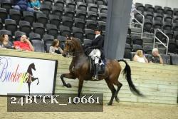24BUCK_10661 proof