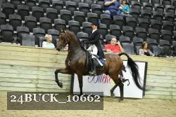 24BUCK_10662 proof