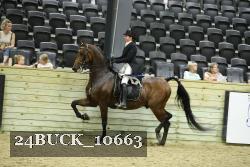 24BUCK_10663 proof