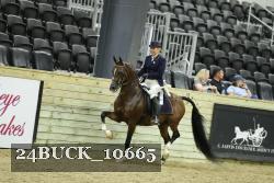 24BUCK_10665 proof