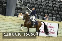 24BUCK_10666 proof