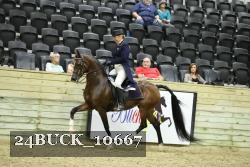 24BUCK_10667 proof
