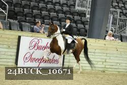 24BUCK_10671 proof