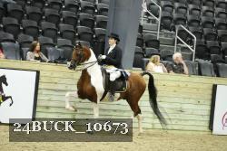 24BUCK_10673 proof