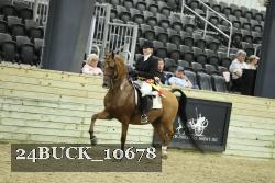 24BUCK_10678 proof