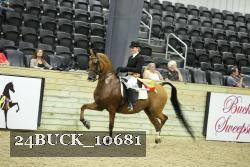 24BUCK_10681 proof