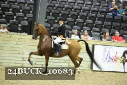 24BUCK_10683 proof