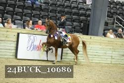 24BUCK_10686 proof