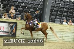 24BUCK_10688 proof