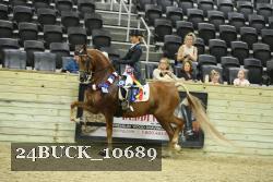 24BUCK_10689 proof
