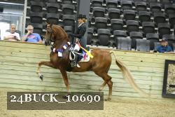24BUCK_10690 proof