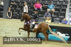 24BUCK_10693 proof