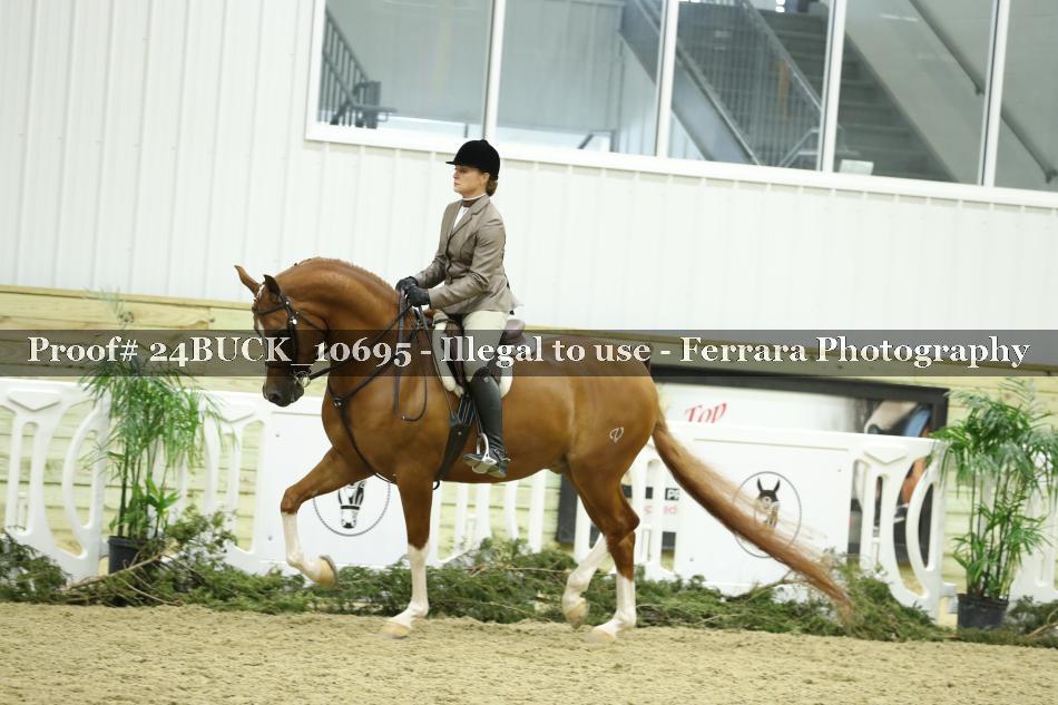 Proof 24BUCK_10695