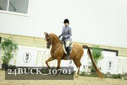 24BUCK_10701 proof