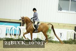 24BUCK_10703 proof