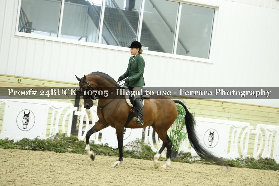 Proof 24BUCK_10705