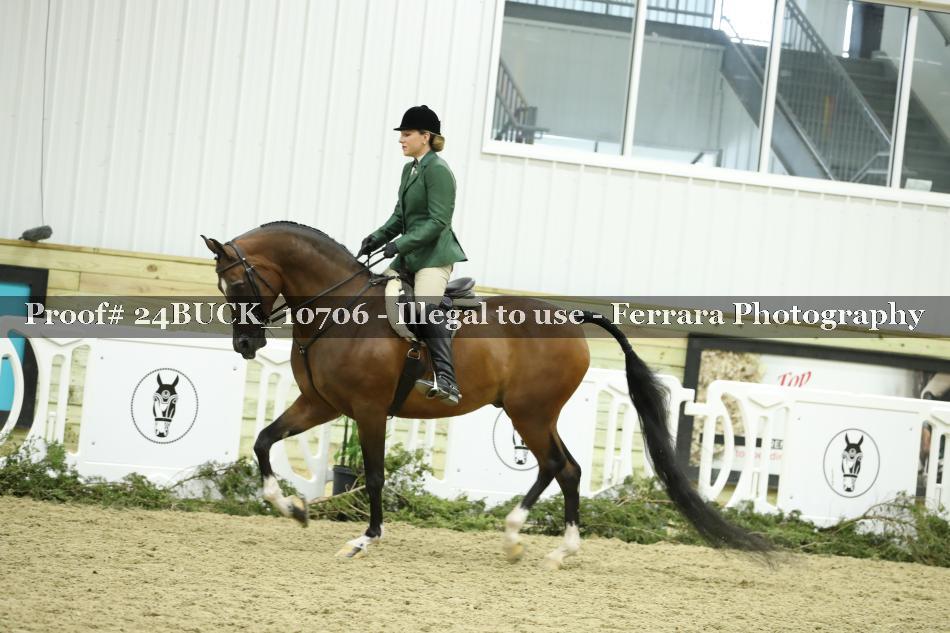 Proof 24BUCK_10706