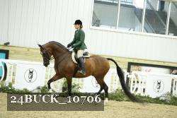 24BUCK_10706 proof