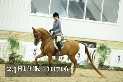 24BUCK_10716 proof