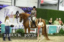 24BUCK_10736 proof