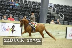24BUCK_10752 proof