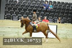24BUCK_10753 proof