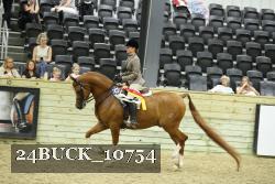 24BUCK_10754 proof