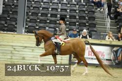 24BUCK_10757 proof