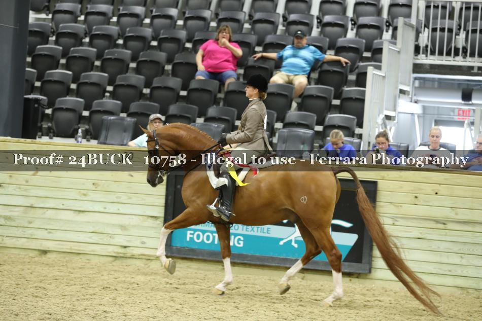 Proof 24BUCK_10758