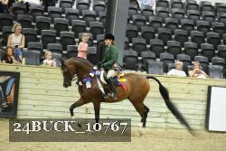 24BUCK_10767 proof