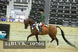 24BUCK_10769 proof