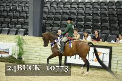 24BUCK_10773 proof