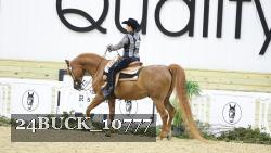 24BUCK_10777 proof