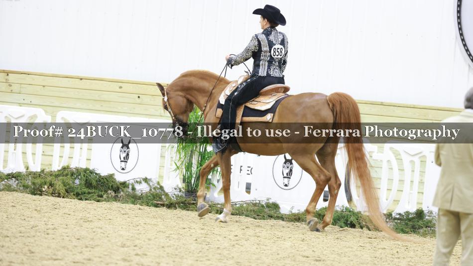 Proof 24BUCK_10778