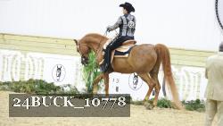 24BUCK_10778 proof