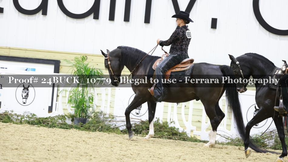 Proof 24BUCK_10779