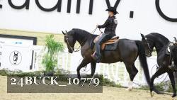 24BUCK_10779 proof