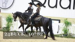 24BUCK_10782 proof