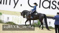 24BUCK_10784 proof