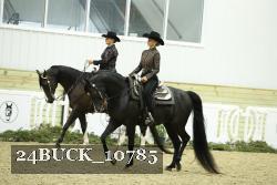 24BUCK_10785 proof