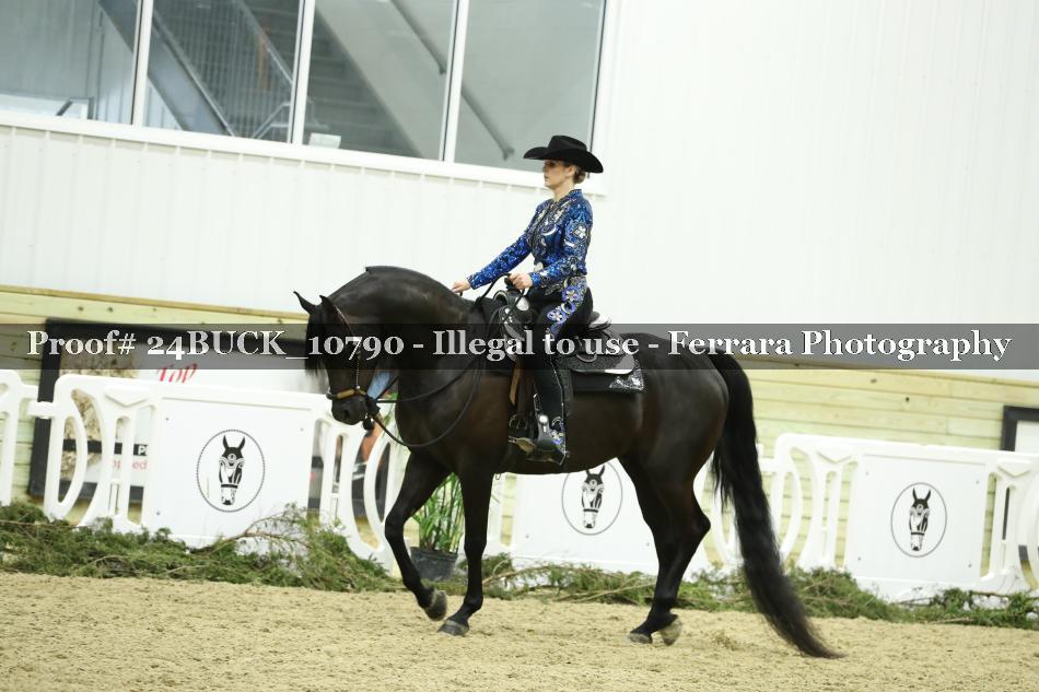 Proof 24BUCK_10790