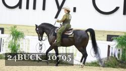 24BUCK_10795 proof
