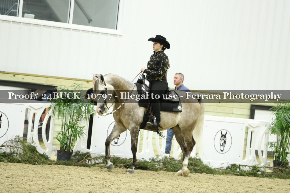 Proof 24BUCK_10797