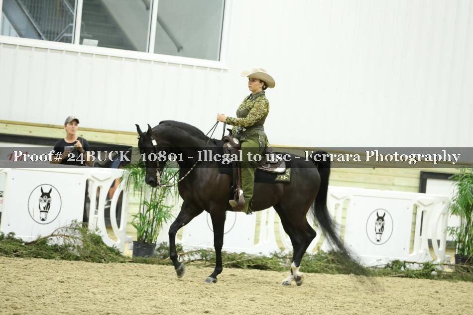 Proof 24BUCK_10801