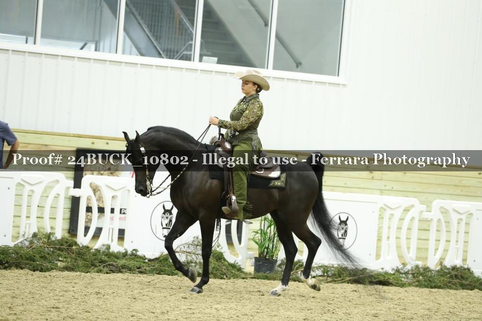 Proof 24BUCK_10802