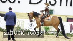 24BUCK_10803 proof