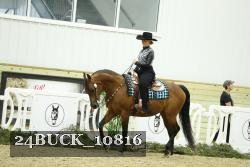 24BUCK_10816 proof