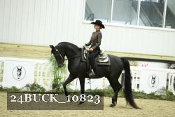 24BUCK_10823 proof