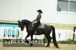 24BUCK_10824 proof